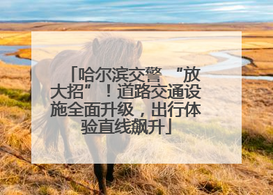 哈尔滨交警 “放大招”！道路交通设施全面升级，出行体验直线飙升