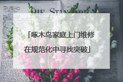 啄木鸟家庭上门维修在规范化中寻找突破