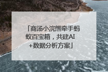 商汤小浣熊牵手蚂蚁百宝箱，共建AI+数据分析方案