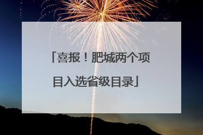 喜报！肥城两个项目入选省级目录