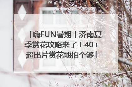 嗨FUN暑期丨济南夏季赏花攻略来了！40+超出片赏花地拍个够