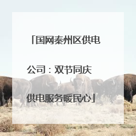 国网秦州区供电公司：双节同庆 供电服务暖民心