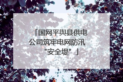 国网平舆县供电公司筑牢电网防汛“安全堤”