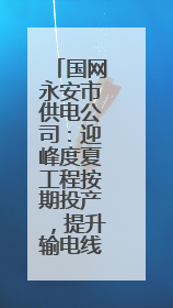 国网永安市供电公司：迎峰度夏工程按期投产，提升输电线路防雷水平