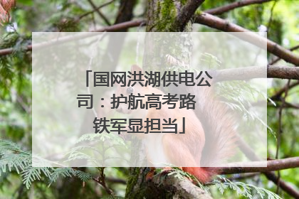 国网洪湖供电公司：护航高考路 铁军显担当