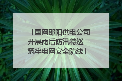 国网邵阳供电公司开展雨后防汛特巡 筑牢电网安全防线