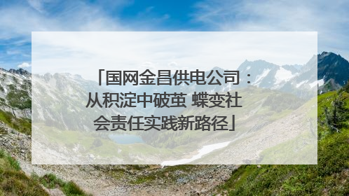 国网金昌供电公司：从积淀中破茧 蝶变社会责任实践新路径