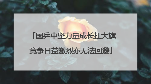 国乒中坚力量成长扛大旗 竞争日益激烈亦无法回避