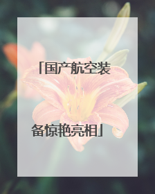 国产航空装备惊艳亮相