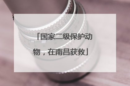 国家二级保护动物，在南昌获救