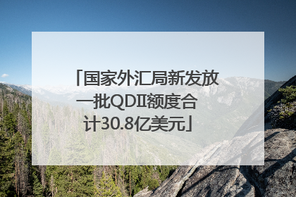 国家外汇局新发放一批QDII额度合计30.8亿美元