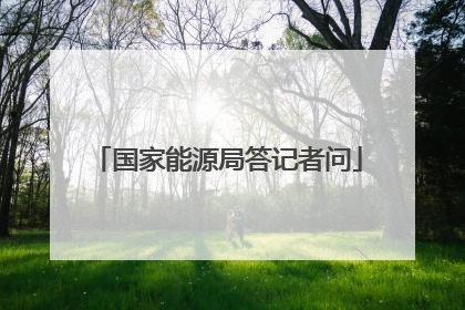 国家能源局答记者问