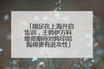 国足在上海开启集训，主帅伊万科维奇期待对阵印尼踢得更有进攻性