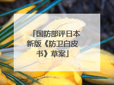 国防部评日本新版《防卫白皮书》草案
