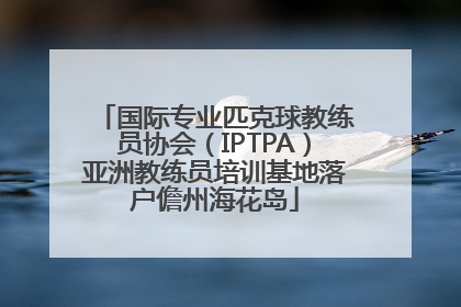 国际专业匹克球教练员协会（IPTPA）亚洲教练员培训基地落户儋州海花岛