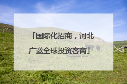 国际化招商，河北广邀全球投资客商