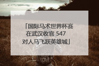 国际马术世界杯赛在武汉收官 547对人马飞跃英雄城