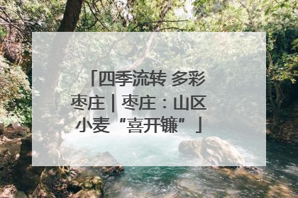 四季流转 多彩枣庄｜枣庄：山区小麦“喜开镰”