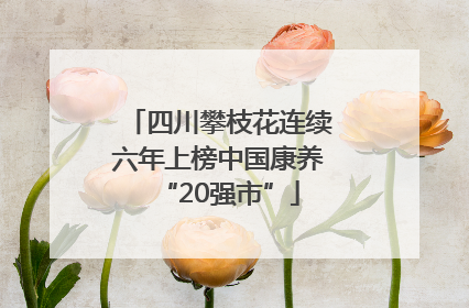 四川攀枝花连续六年上榜中国康养“20强市”
