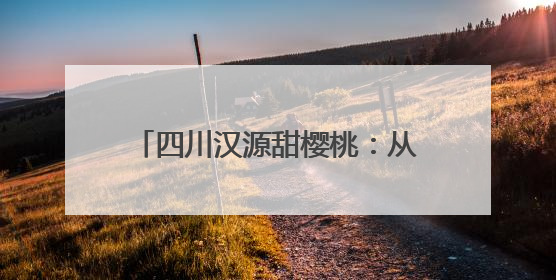 四川汉源甜樱桃：从背篓到云端的跃迁