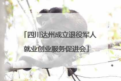 四川达州成立退役军人就业创业服务促进会