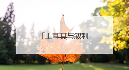 土耳其与叙利亚本月中旬起运营更多直航