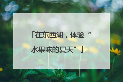 在东西湖，体验“水果味的夏天”