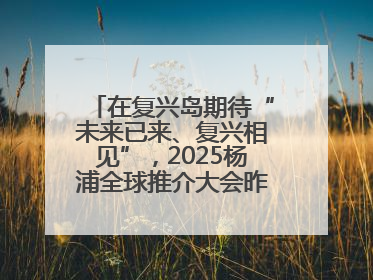 在复兴岛期待“未来已来、复兴相见”，2025杨浦全球推介大会昨晚举行