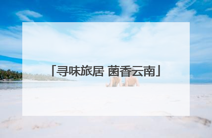 寻味旅居 菌香云南
