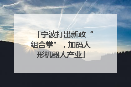 宁波打出新政“组合拳”，加码人形机器人产业