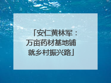 安仁黄林军：万亩药材基地铺就乡村振兴路