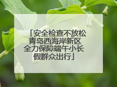 安全检查不放松 青岛西海岸新区全力保障端午小长假群众出行