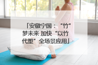 安徽宁国：“竹”梦未来 加快“以竹代塑”全场景应用