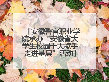 安徽警官职业学院承办“安徽省大学生校园十大歌手走进基层”活动