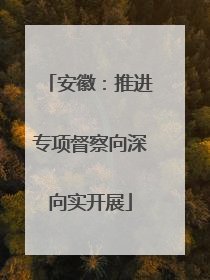 安徽：推进专项督察向深向实开展