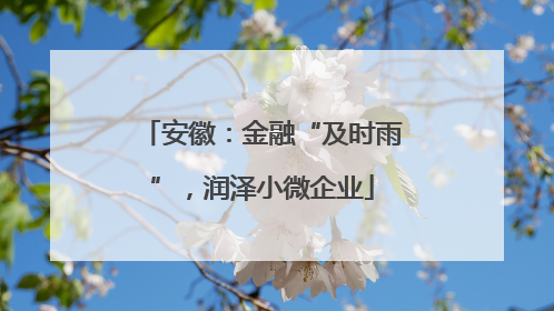 安徽：金融“及时雨”，润泽小微企业