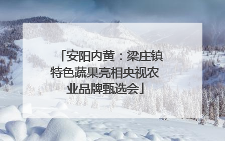安阳内黄：梁庄镇特色蔬果亮相央视农业品牌甄选会