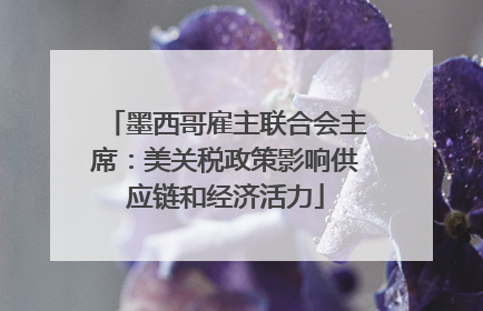 墨西哥雇主联合会主席：美关税政策影响供应链和经济活力