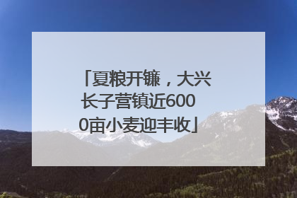 夏粮开镰，大兴长子营镇近6000亩小麦迎丰收