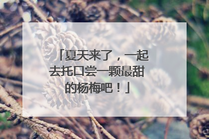 夏天来了，一起去托口尝一颗最甜的杨梅吧！