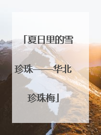 夏日里的雪珍珠——华北珍珠梅