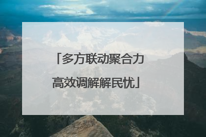 多方联动聚合力 高效调解解民忧