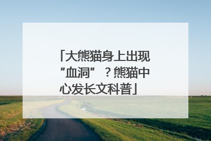 大熊猫身上出现“血洞”？熊猫中心发长文科普