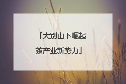 大别山下崛起茶产业新势力