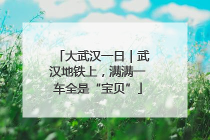 大武汉一日｜武汉地铁上，满满一车全是“宝贝”