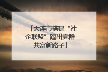大连市搭建“社企联盟”蹚出党群共富新路子