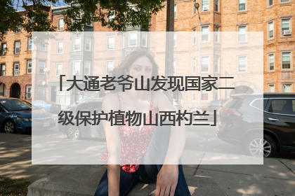 大通老爷山发现国家二级保护植物山西杓兰