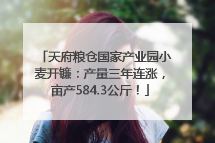 天府粮仓国家产业园小麦开镰：产量三年连涨，亩产584.3公斤！