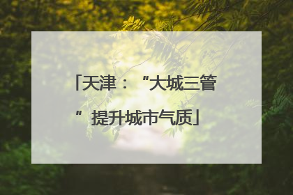 天津：“大城三管”提升城市气质