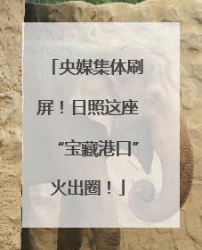 央媒集体刷屏！日照这座“宝藏港口”火出圈！
